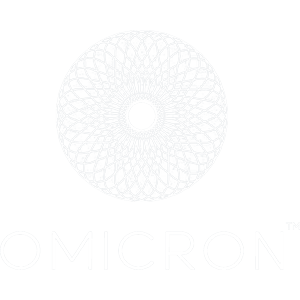 Developer Logo 1