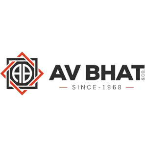 Developer Logo 1