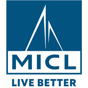 Developer Logo 2
