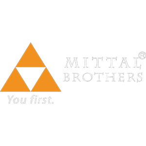 Developer Logo 1