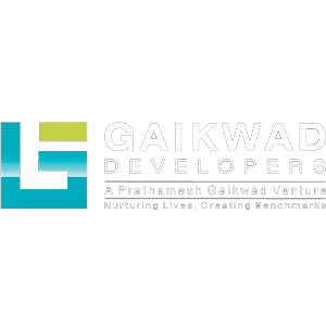 Developer Logo 1