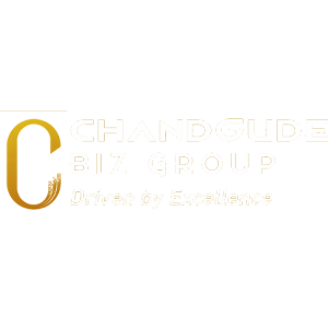 Developer Logo 1