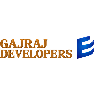 Developer Logo 1