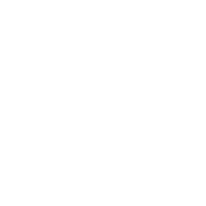 Developer Logo 1