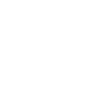 Developer Logo 1