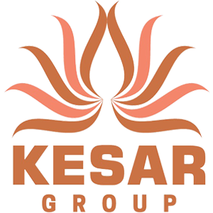 Developer Logo 1