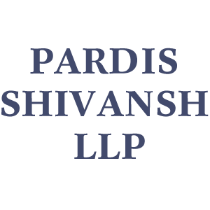 Developer Logo 1