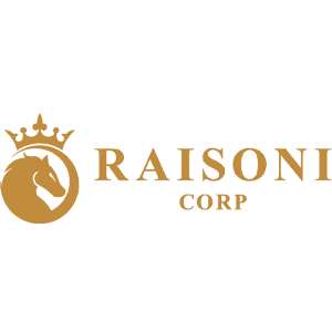 Developer Logo 1