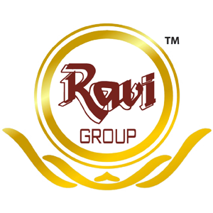 Developer Logo 1