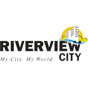 Developer Logo 1