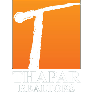 Developer Logo 1