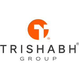 Developer Logo 1