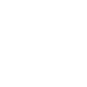 Developer Logo 1