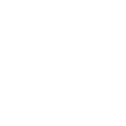 Project Icon