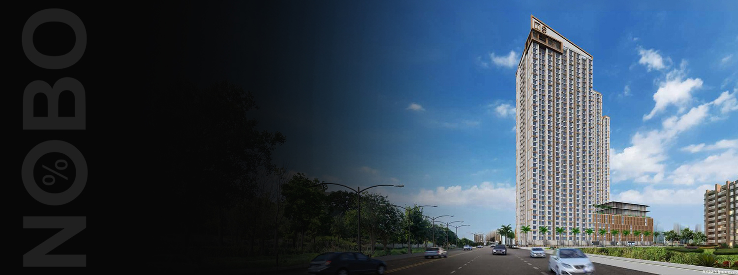 Auris Ilaria banner