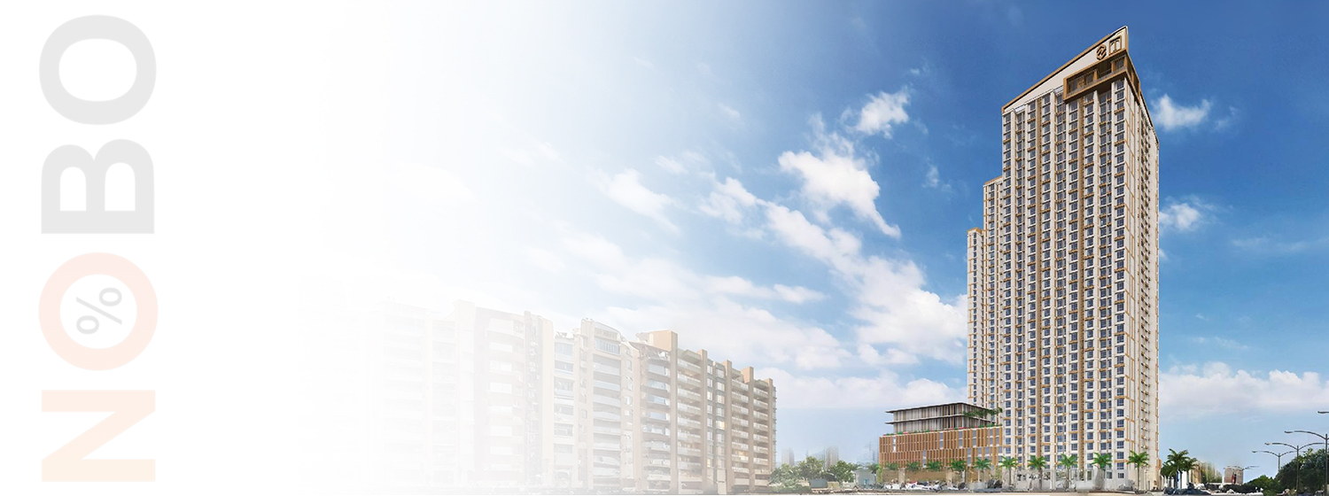 Auris Ilaria banner