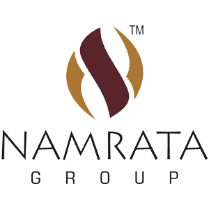 Developer Logo 1