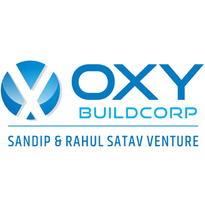 Developer Logo 1