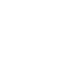 Developer Logo 1