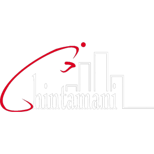 Developer Logo 1