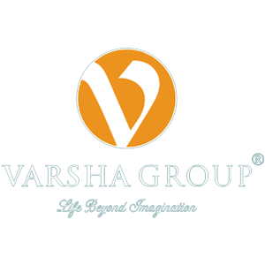 Developer Logo 1