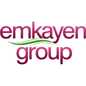 Developer Logo 1