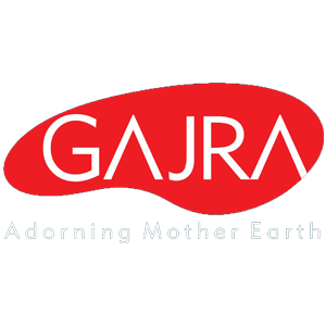 Developer Logo 1