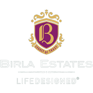 Developer Logo 1