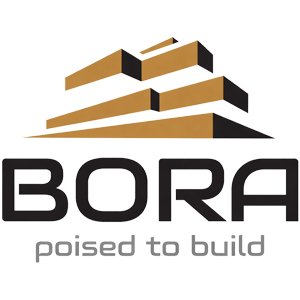 Developer Logo 1