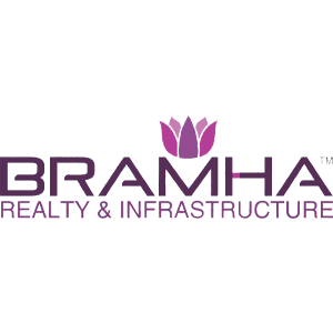 Developer Logo 1