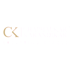 Developer Logo 1
