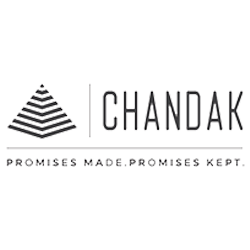 Developer Logo 1