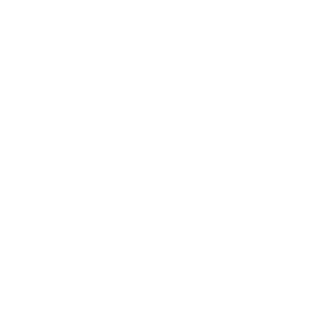 Developer Logo 1