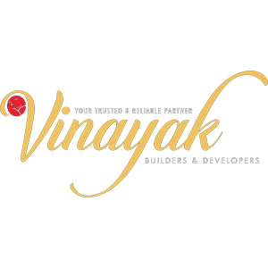 Developer Logo 1