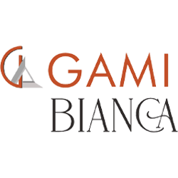 Developer Logo 2