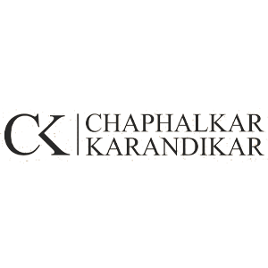 Developer Logo 1
