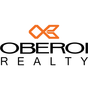 Developer Logo 1
