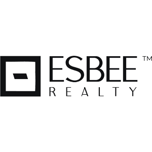 Developer Logo 1