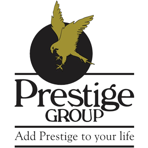 Developer Logo 1