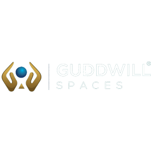 Developer Logo 1