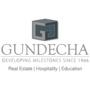 Developer Logo 1