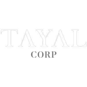 Developer Logo 1
