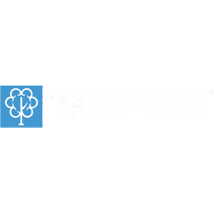Developer Logo 1