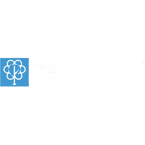 Developer Logo 1