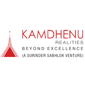 Developer Logo 1