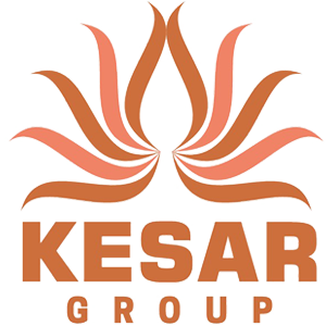 Developer Logo 1