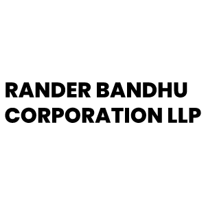Developer Logo 1