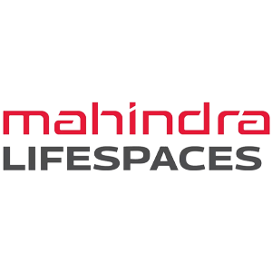 Developer Logo 1