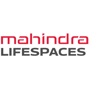 Developer Logo 1