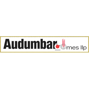 Developer Logo 1